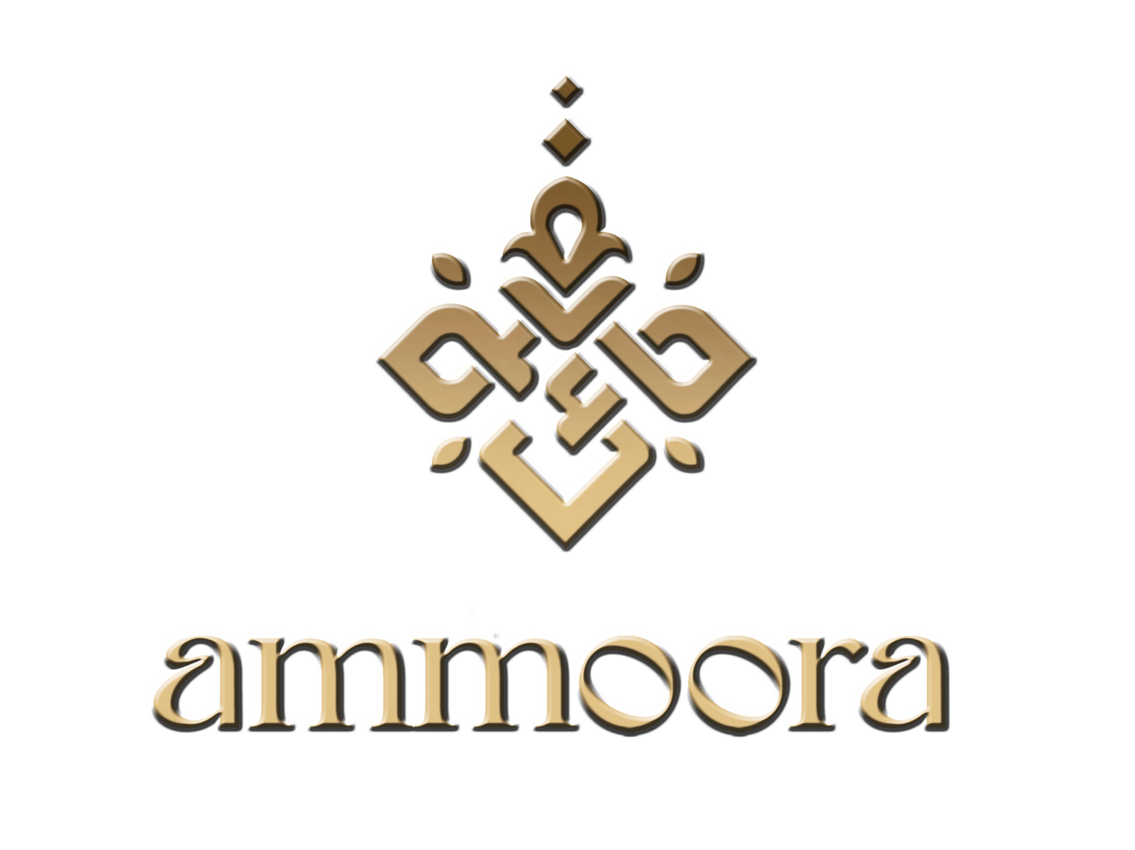 Ammoora reviewed by restaurant food influencer